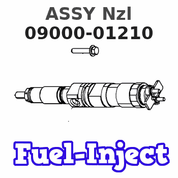 09000-01210 ASSY Nzl