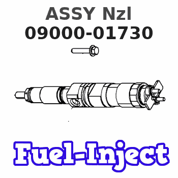 09000-01730 ASSY Nzl