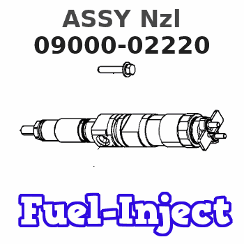 09000-02220 ASSY Nzl
