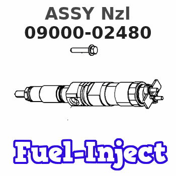 09000-02480 ASSY Nzl