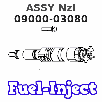 09000-03080 ASSY Nzl