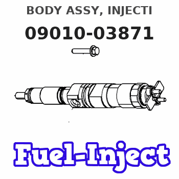 09010-03871 BODY ASSY, INJECTI