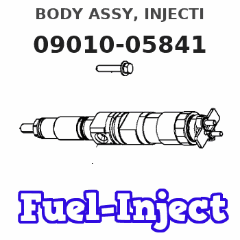 09010-05841 BODY ASSY, INJECTI