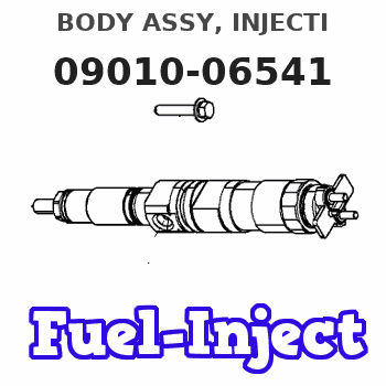 09010-06541 BODY ASSY, INJECTI
