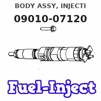 09010-07120 BODY ASSY, INJECTI
