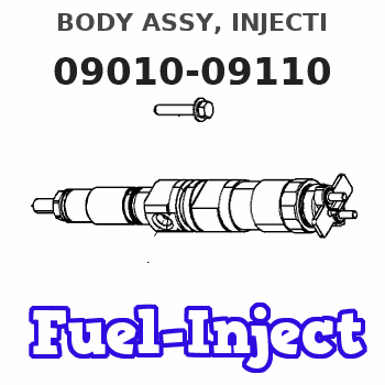 09010-09110 BODY ASSY, INJECTI