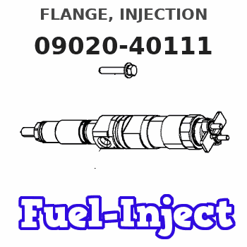 09020-40111 FLANGE, INJECTION