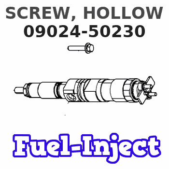 09024-50230 SCREW, HOLLOW