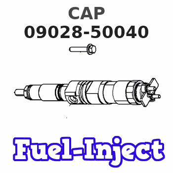 09028-50040 CAP