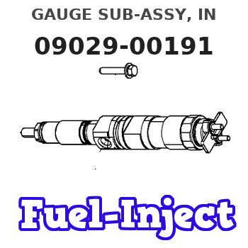 09029-00191 GAUGE SUB-ASSY, IN