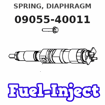 09055-40011 SPRING, DIAPHRAGM