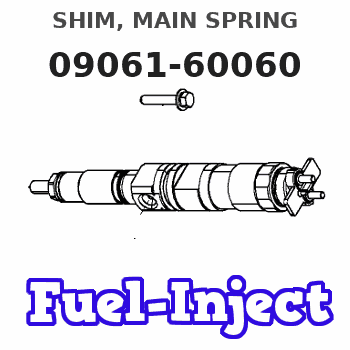 09061-60060 SHIM, MAIN SPRING