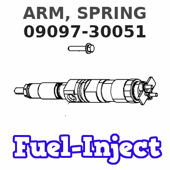 09097-30051 ARM, SPRING