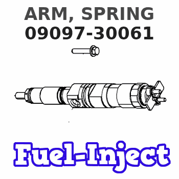 09097-30061 ARM, SPRING