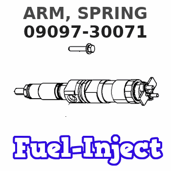 09097-30071 ARM, SPRING