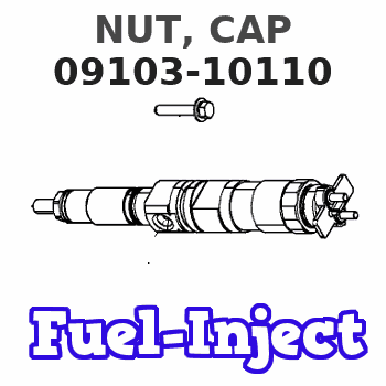 09103-10110 NUT, CAP