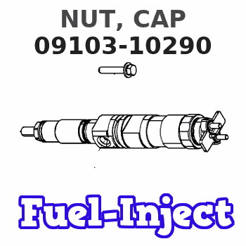 09103-10290 NUT, CAP