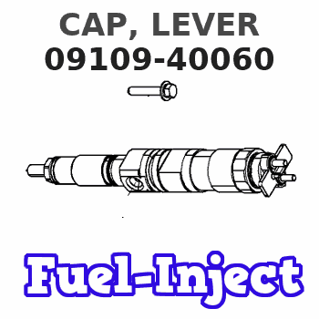09109-40060 CAP, LEVER