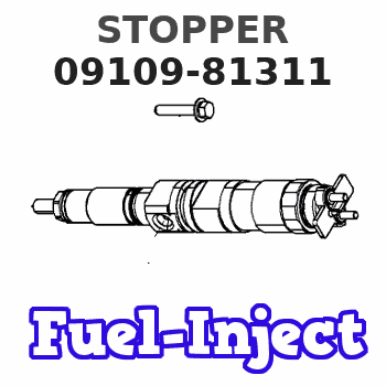 09109-81311 STOPPER