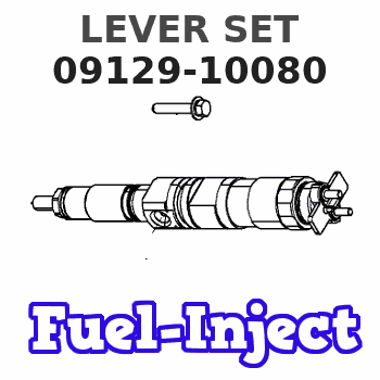 09129-10080 LEVER SET