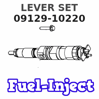 09129-10220 LEVER SET