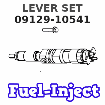 09129-10541 LEVER SET