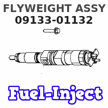 09133-01132 FLYWEIGHT ASSY