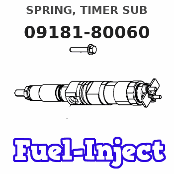 09181-80060 SPRING, TIMER SUB