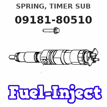 09181-80510 SPRING, TIMER SUB
