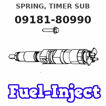 09181-80990 SPRING, TIMER SUB