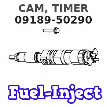 09189-50290 CAM, TIMER