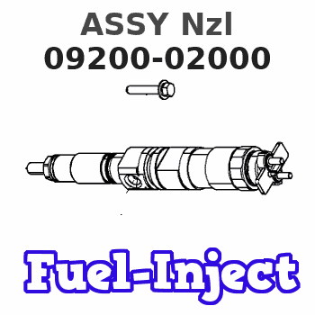 09200-02000 ASSY Nzl