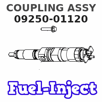 09250-01120 COUPLING ASSY