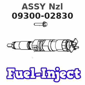 09300-02830 ASSY Nzl