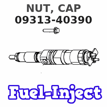 09313-40390 NUT, CAP