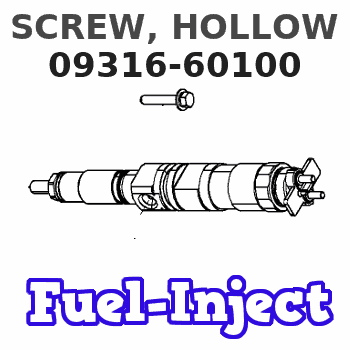 09316-60100 SCREW, HOLLOW