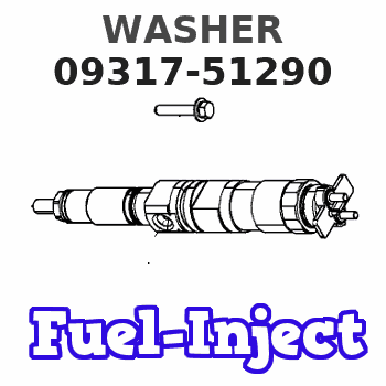 09317-51290 WASHER