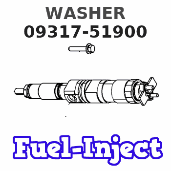 09317-51900 WASHER