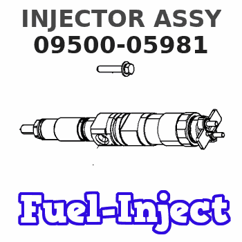 09500-05981 INJECTOR ASSY