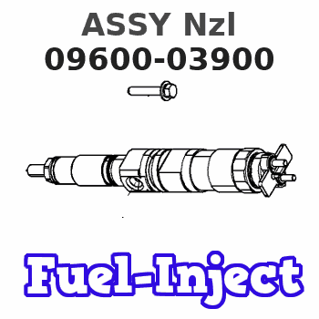 09600-03900 ASSY Nzl