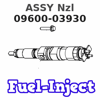 09600-03930 ASSY Nzl