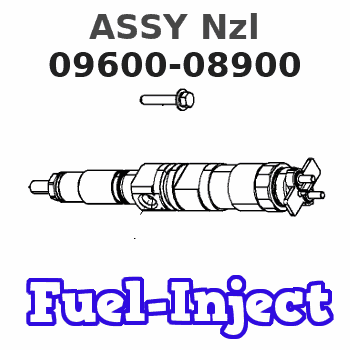 09600-08900 ASSY Nzl