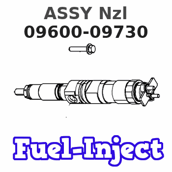 09600-09730 ASSY Nzl