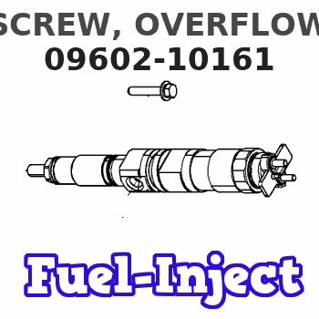 09602-10161 SCREW, OVERFLOW