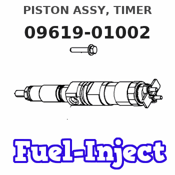 09619-01002 PISTON ASSY, TIMER