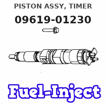 09619-01230 PISTON ASSY, TIMER