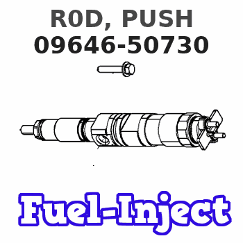 09646-50730 R0D, PUSH