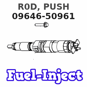 09646-50961 R0D, PUSH