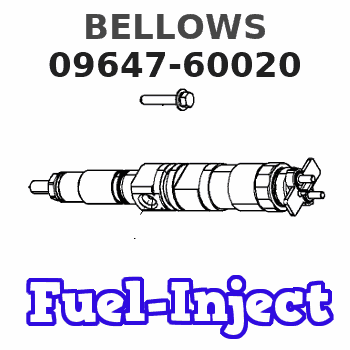 09647-60020 BELLOWS
