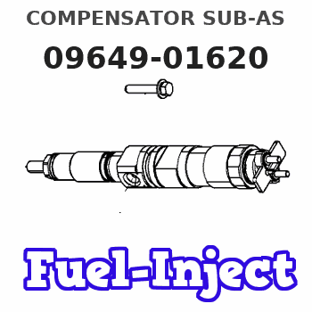 09649-01620 COMPENSATOR SUB-AS